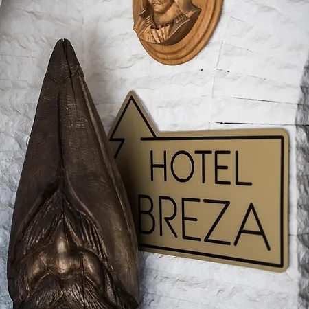 Breza Borovets
